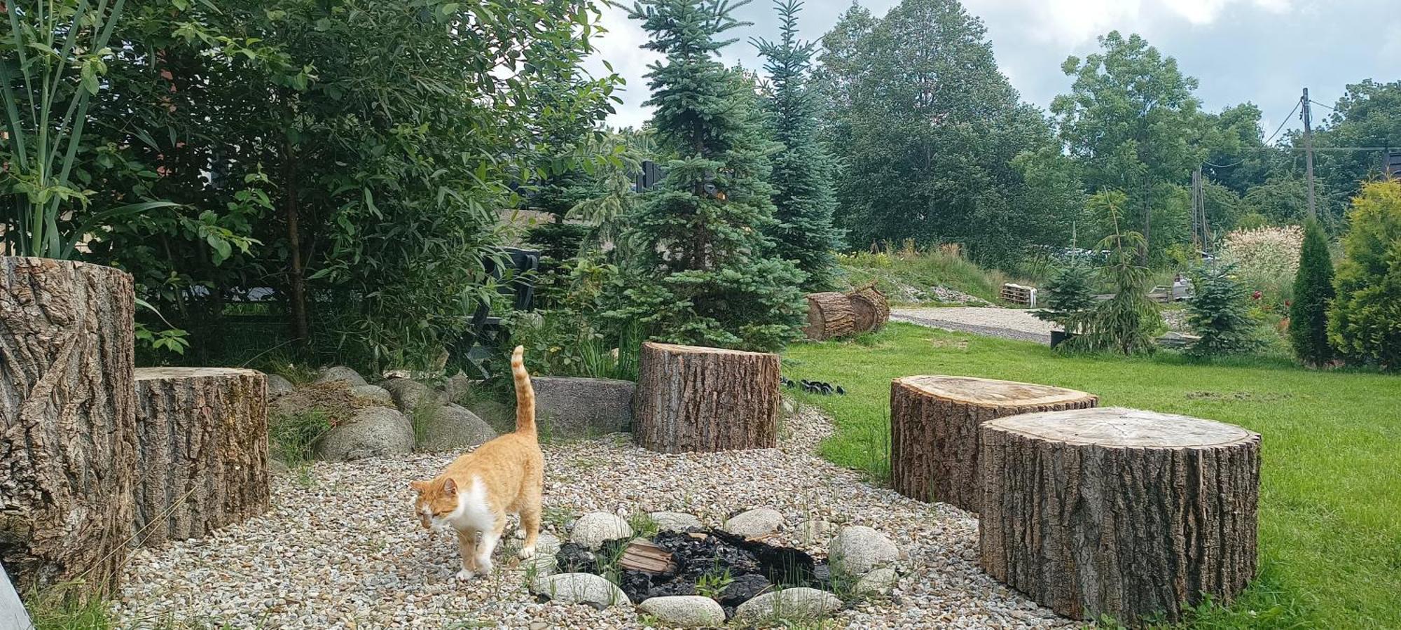 Lux Houses W Domku Tylko Dwa Apartamentyz Jacuzzi Zewnetrznym Gron ภายนอก รูปภาพ